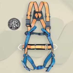 ARNES MUSITANI TIGRE 326